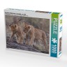 CALVENDO Puzzle CALVENDO Puzzle Emotional Moments: Lion Cubs Пазл CALVENDO Puzzle Emotional Moments: Львята