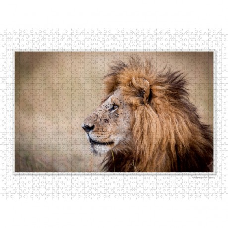 CALVENDO Puzzle CALVENDO Puzzle Emotionale Momente: Grosse Raubkatzen der Welt. Пазл CALVENDO Пазл Эмоциональные моменты: Большие хищники в мире.