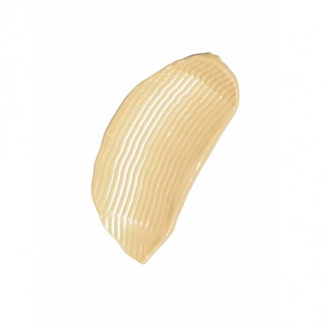 Cocunat The Absolute Абсолют