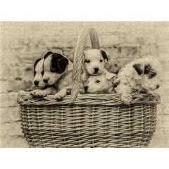 CALVENDO Puzzle CALVENDO Puzzle Ein Korb voll Gluck Пазл CALVENDO Puzzle Корзина