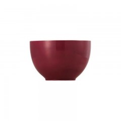 Thomas Thomas Sunny Day Fuchsia Muslischale 0,45 L Чаша для хлопьев Thomas Sunny Day Фуксия 0,45 л