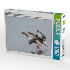 CALVENDO Puzzle CALVENDO Puzzle Emotionale Momente: Die Graugans. Пазл CALVENDO Пазл Эмоциональные моменты: Серый гусь.