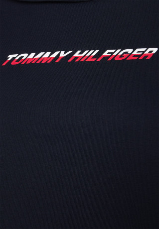 Tommy Hilfiger GRAPHIC HOODIE Sweatshirt desert sky ГРАФИЧЕСКАЯ ХУДИ Толстовка небо пустыни