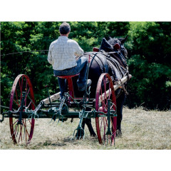 CALVENDO Puzzle CALVENDO Puzzle Ernte des Heues Пазл CALVENDO Puzzle Уборка сена