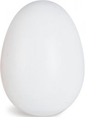 Eichhorn Eier Spiellebensmittel Яйца