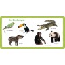 arsEdition Verlag Meine ersten 100 Tiere Мои первые 100 животных
