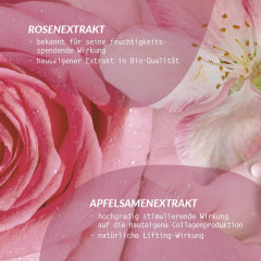 Logona Straffende Feuchtigkeitscreme geönt Bio-Rosenextrakt &amp; Bio-Apfelsamenextrakt Logona Logona Тональный укрепляющий и увлажняющий крем с органическими экстрактами розы и семян яблока, 30мл