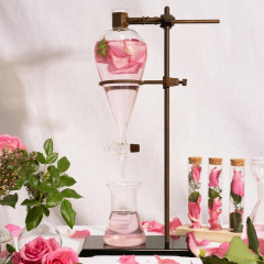 Logona Straffende Feuchtigkeitscreme geönt Bio-Rosenextrakt &amp; Bio-Apfelsamenextrakt Logona Logona Тональный укрепляющий и увлажняющий крем с органическими экстрактами розы и семян яблока, 30мл