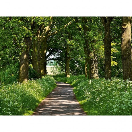 CALVENDO Puzzle CALVENDO Puzzle Unter Baumen Пазл CALVENDO Puzzle Под деревьями