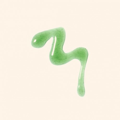 Ere Perez Quandong Green Booster Serum Quandong Green Booster Сыворотка