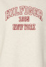 Tommy Hilfiger VARSITY OPEN Sweatshirt white dove heather VARSITY OPEN Толстовка белый голубь вереск
