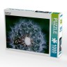CALVENDO Puzzle CALVENDO Puzzle Pusteblume Пазл CALVENDO Пазл одуванчик