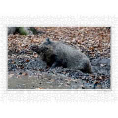 CALVENDO Puzzle CALVENDO Puzzle Emotional Moment: Die Eber. UK-Version Пазл CALVENDO Пазл Эмоциональный момент: Кабаны. версия для Великобритании