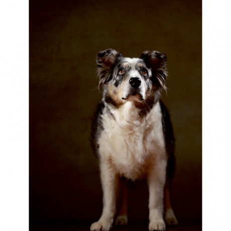 CALVENDO Puzzle CALVENDO Puzzle Billabong Пазл CALVENDO Puzzle Billabong