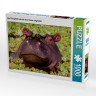 CALVENDO Puzzle CALVENDO Puzzle Das Flusspferd hat sich eine Krone aufgesetzt. Пазл CALVENDO Puzzle Бегемот надел корону.
