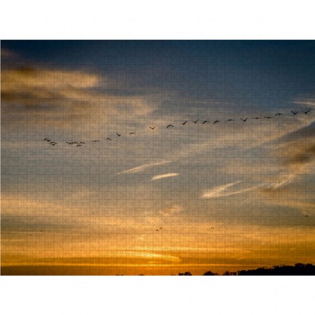 CALVENDO Puzzle CALVENDO Puzzle Das Setzen von Sonne und Krane Пазл CALVENDO Puzzle Заходящее солнце и журавли