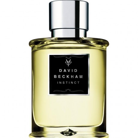 David Beckham (Дэвид Бекхэм) Instinct Eau de Toilette Туалетная вода Spray Спрей, 50 мл