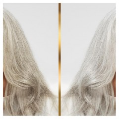Hair Biology Silver &amp; Glowing Pflegespulung  Серебряный и сияющий кондиционер