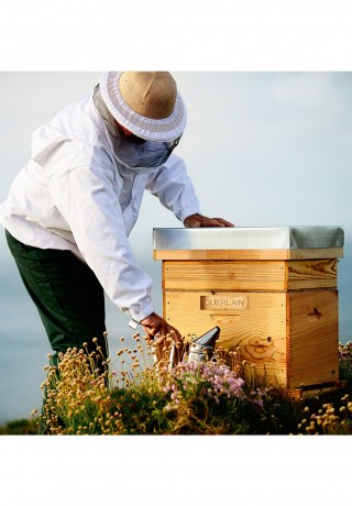 GUERLAIN GUERLAIN ABEILLE ROYALE MATTIFYING DAY CREAM Gesichtscreme transparent GUERLAIN ABEILLE ROYALE MATTIFYING DAY CREAM крем для лица