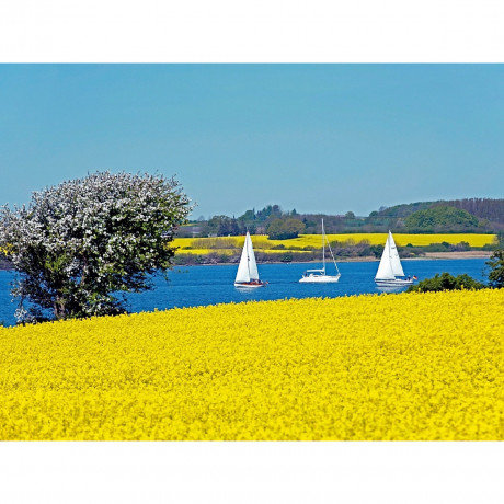 CALVENDO Puzzle CALVENDO Puzzle Ostseefjord Schlei Пазл CALVENDO Puzzle Восточный фьорд Schlei