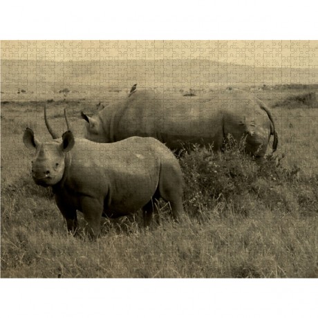 CALVENDO Puzzle CALVENDO Puzzle Masai Mara Nashorner Пазл CALVENDO Пазл Masai Mara Rhino