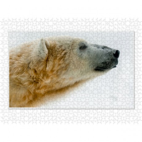 CALVENDO Puzzle CALVENDO Puzzle Emotionale Momente: Der Eisbar. \/ CH-Version Пазл CALVENDO Пазл Эмоциональные моменты: ледяной бар. \/ версия CH