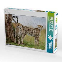 CALVENDO Puzzle CALVENDO Puzzle Geparden Пазл CALVENDO Пазл гепарды