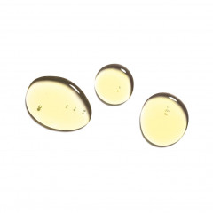 Caudalie Regenerierendes Nachtol  Регенерирующее ночное масло