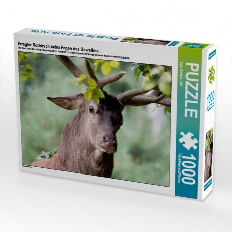 CALVENDO Puzzle CALVENDO Puzzle Erregter Rothirsch beim Fegen des Geweihes. Пазл CALVENDO Puzzle Возбужденный благородный олень машет рогами.