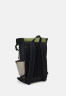 Tommy Hilfiger URBAN ESSENTIAL ROLLTOP UNISEX Rucksack mentor green URBAN ESSENTIAL ROLL TOP UNISEX Рюкзак наставник зеленый