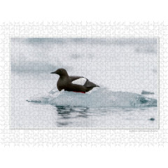 CALVENDO Puzzle CALVENDO Puzzle Emotionale Momente: Die Tierwelt der Arktis \/ CH-Version Пазл CALVENDO Puzzle Emotional Moments: The Animal World of the Arctic / CH version