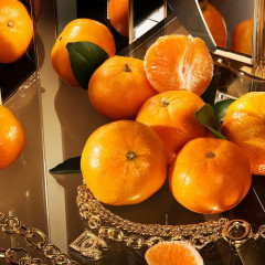 Dolce&amp;Gabbana  The One  Тот самый