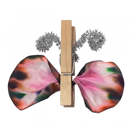 myExperimentSet Forschen und Experimentieren zu Dichte und Farben Исследования и эксперименты с плотностью и цветами