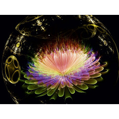 CALVENDO Puzzle CALVENDO Puzzle Aufnahme Пазл CALVENDO Пазл с записью