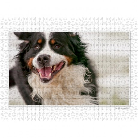 CALVENDO Puzzle CALVENDO Puzzle Emotionale Momente: Der beste Freund des Menschen. \/ CH-Version Пазл CALVENDO Пазл Эмоциональные моменты: Лучший друг человека. \/ версия CH