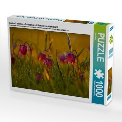 CALVENDO Puzzle CALVENDO Puzzle Kleine Laternen Пазл CALVENDO Пазл Маленькие фонарики