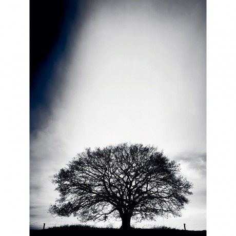 CALVENDO Puzzle CALVENDO Puzzle Marz: Die ersten Fruhlingssturme toben uber das Land und kunden vom Fruhling. Пазл CALVENDO Puzzle March: Первые весенние грозы бушуют по стране и весть о весне.