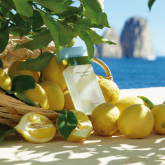 Dolce&amp;Gabbana  Light Blue  Светло-синий