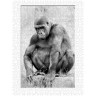 CALVENDO Puzzle CALVENDO Puzzle Emotionale Momente: Gorillas in black  white \/ CH-Version Пазл CALVENDO Puzzle Эмоциональные моменты: гориллы в черно-белом / Швейцарская версия