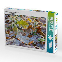 CALVENDO Puzzle CALVENDO Puzzle Laubblatter vom Frost gezuckert Пазл CALVENDO Puzzle Листья