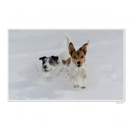 CALVENDO Puzzle CALVENDO Puzzle Emotionale Momente: Die Jagd. \/ CH-Version Пазл CALVENDO Пазл Эмоциональные моменты: Охота. \/ версия CH