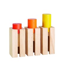 PLANTOYS Motorik Essential Serie: Steckzylinder Motorikspielzeug Motor Skills Essential Series: Цилиндрические игрушки для развития двигательных навыков