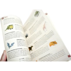 HUCH! Fauna фауна