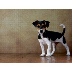 CALVENDO Puzzle CALVENDO Puzzle Liu Пазл CALVENDO Пазл Лю