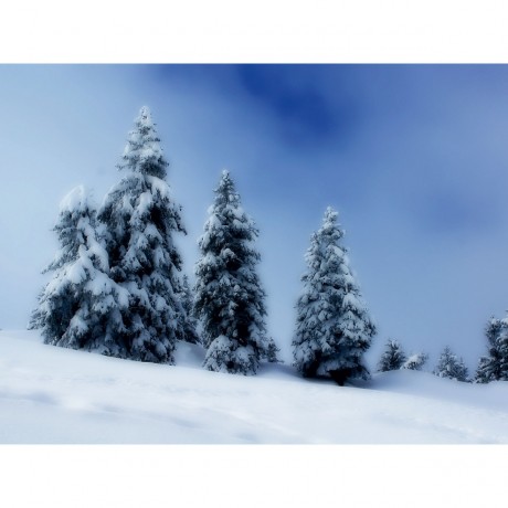 CALVENDO Puzzle CALVENDO Puzzle Winter Traum Пазл CALVENDO Пазл Winter Dream