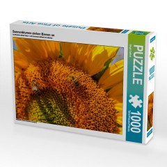 CALVENDO Puzzle CALVENDO Puzzle Sonnenblumen ziehen Bienen an Пазл CALVENDO Puzzle Подсолнухи привлекают пчел