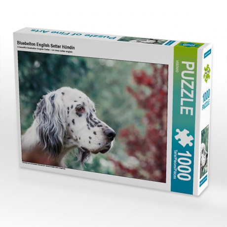 CALVENDO Puzzle CALVENDO Puzzle Bluebelton English Setter Hundin Пазл CALVENDO Puzzle Bluebelton Английский сеттер сука
