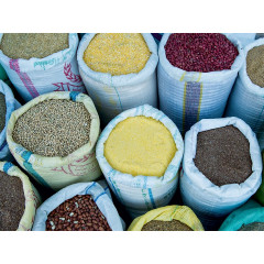 CALVENDO Puzzle CALVENDO Puzzle Hirsefruchte auf dem Markt von Agadir. Пазл CALVENDO Puzzle Плоды проса на рынке Агадира.