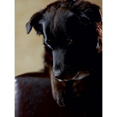 CALVENDO Puzzle CALVENDO Puzzle Lanakila Пазл CALVENDO Пазл Ланакила