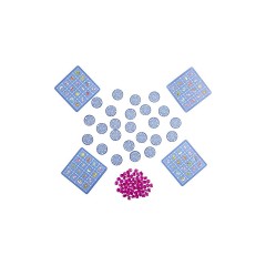 Haba HABA 303647 Einhorn Glitzergluck HABA 303647 Глиттер Глюк Единорог